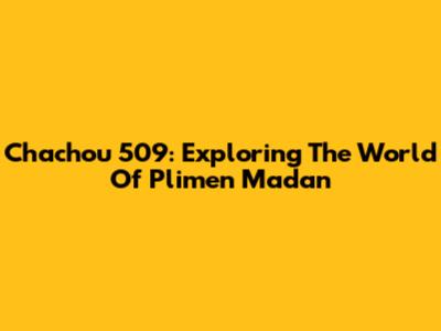 Chachou 509: Exploring The World Of Plimen Madan