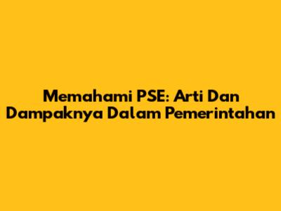 Memahami PSE: Arti Dan Dampaknya Dalam Pemerintahan